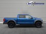 Ford F-150 Raptor (USA) LAGE CATALOGUSWAARDE PRINS LPG