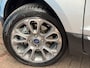 Ford EcoSport 1.0 EcoBoost Titanium GRATIS Afleverpakket! | B&O Audio | Trekhaak | Winterpakket |