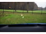 Nissan Qashqai 1.3 MHEV Xtronic Tekna Plus , 3D-camera, Panoramadak, Head-up display, Sfeerverlichting,