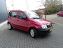Fiat Panda 1.2 Active