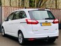 Ford Grand C-Max 1.6 EcoBoost Titanium 1EIGENAAR I NAP I APK I NAVI I LMV I