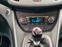 Ford Grand C-Max 1.6 EcoBoost Titanium 1EIGENAAR I NAP I APK I NAVI I LMV I
