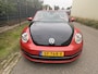 Volkswagen Beetle Cabriolet 1.6 TDI Design / NAVI / AIRCO