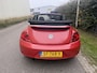 Volkswagen Beetle Cabriolet 1.6 TDI Design / NAVI / AIRCO