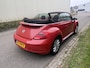 Volkswagen Beetle Cabriolet 1.6 TDI Design / NAVI / AIRCO