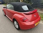 Volkswagen Beetle Cabriolet 1.6 TDI Design / NAVI / AIRCO