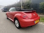 Volkswagen Beetle Cabriolet 1.6 TDI Design / NAVI / AIRCO