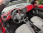 Volkswagen Beetle Cabriolet 1.6 TDI Design / NAVI / AIRCO