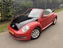 Volkswagen Beetle Cabriolet 1.6 TDI Design / NAVI / AIRCO
