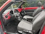 Volkswagen Beetle Cabriolet 1.6 TDI Design / NAVI / AIRCO