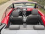 Volkswagen Beetle Cabriolet 1.6 TDI Design / NAVI / AIRCO
