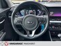Kia Niro 1.6 GDi PHEV DynamicLine Adapt.Cruise/AchteruitijCam./PDC/LED/DAB/Clima/AppConnect/Trekhaak