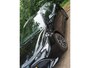 Toyota Corolla Touring Sports 2.0 Hybrid Dynamic Navi| Cruisecontole|Stoelverwarm.