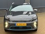 Kia e-Niro ExecutiveLine 64 kWh 3 FASE, Leer