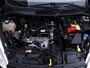 Ford Fiesta 1.0 Style *1e Eigenaar*Dealeronderh.*