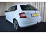 Skoda Fabia 1.2 TSI First Ed. Amb. 1e eig. Trekhaak Panoramadak Clima Cruise LED 170dkm Nwe APK