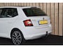 Skoda Fabia 1.2 TSI First Ed. Amb. 1e eig. Trekhaak Panoramadak Clima Cruise LED 170dkm Nwe APK