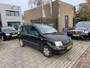 Fiat Panda 1.2 Dynamic 3e Eigenaar! NAP APK 1 Jaar