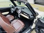 MINI Cooper Cabrio 1.6 Chili Leer Cruise