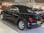Volkswagen Beetle New Cabriolet 1.4 Turijn Comfort Airco, Leder, Stuurbekrachtiging