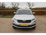 Skoda Kodiaq 1.5 TSI Business Edition RIJKLAAR TREKHAAK