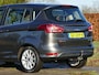 Ford B-Max 1.0 EcoBoost Titanium | verwarmde voorruit | achteruitrijcamera | trekhaak