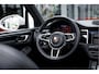 Porsche Macan 2.9 GTS Kreide 381 pk Panoramadak - Bose - BTW-auto