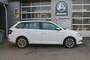 Skoda Fabia 1.0 TSI BUSINESS EDITION AIRCO ANDROIDAUTO/APPLECARPLAY CRUISECONTROLE