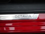 Skoda Octavia Combi 1.5 TSI MHEV Business Edition / Panodak / Camera / Elek. Klep