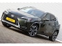 Lexus UX 250h Executive President Schuifdak