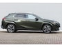 Lexus UX 250h Executive President Schuifdak