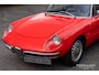 Alfa Romeo Spider Duetto 1600