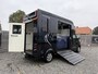 Renault Master PAARDENWAGEN MVV 3XL | HENGST | 39.000KM | 2017 | LEER | | B-RIJBEWIJS | NL KENTEKEN