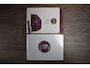 Fiat 500 0.9 TwinAir Turbo 500S Half Leder | Telefonie | Sportstoelen | Airco | Isofix