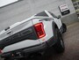 Ford F-150 Raptor USA 3.5 V6 Ecoboost SuperCrew 37 inch| Panoramadak |Apple CarPlay |LiveValve shocks |