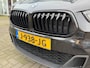 BMW X2 X2 sDrive20i High Executive Msport I Panorama I Leer I Stoelverw. I Camera