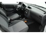 Opel Combo 1.3 CDTi Base | dealer onderhouden | trekhaak | airco | radio cd