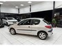 Peugeot 206 1.4 XS APK