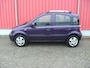 Fiat Panda 1.2 Edizione Cool / Airco