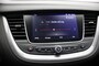 Opel Grandland 1.2 Turbo Business Executive - Panorama, Carplay, Navi, Cruise, Half Leer