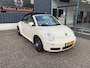 Volkswagen Beetle New Cabriolet 1.6 Highline