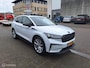 Skoda Enyaq iV 60 / Panoramadak / Trekhaak /