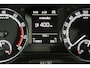 Skoda Fabia Combi 1.0 Business Edition | Carplay | DAB | Clima | Glasdak | Trekhaak