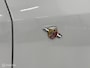Fiat Punto Evo 1.4-16V Multiair Abarth Gtech Climate Cruise Sportstoelen 17 Inch