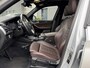 BMW X3 sDrive20i High Executive xLine Panoramadak Trekhaak Lederen interieur Achteruitrijcamera Stuurwielverwarming