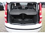 Fiat Panda 1.2 Edizione Cool
