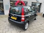 Fiat Panda 1.2 Emotion Carplay Distributie VV NAP