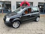 Fiat Panda 1.2 Emotion Carplay Distributie VV NAP