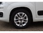 Fiat Panda 1.2 Lounge|4 cil.|1e eig.|Dealerond.|