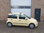 Fiat Panda 1.2 Edizione Cool